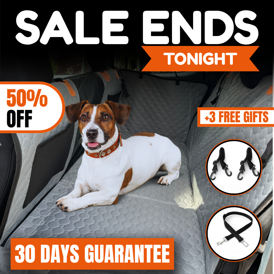 Barkley® - Dog Seat Cover (50% Off + Free Gifts)