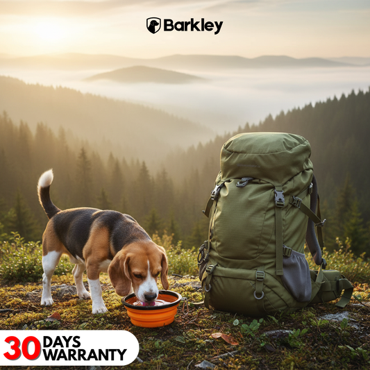 Collapsible Travel Bowl